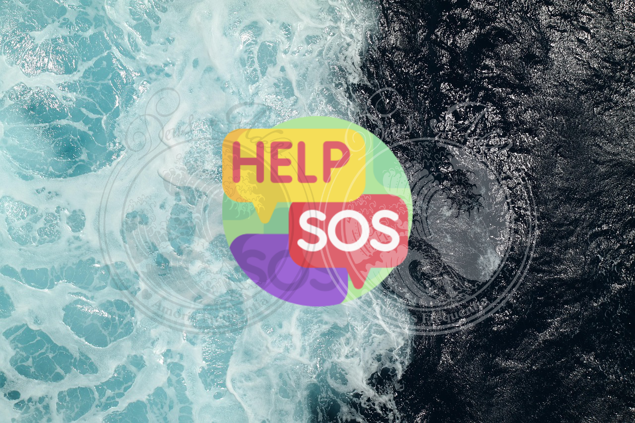 Emergency Question [Intuitive Audio Message]