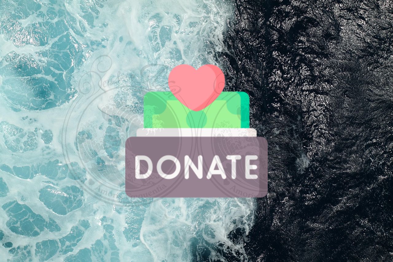 Donate