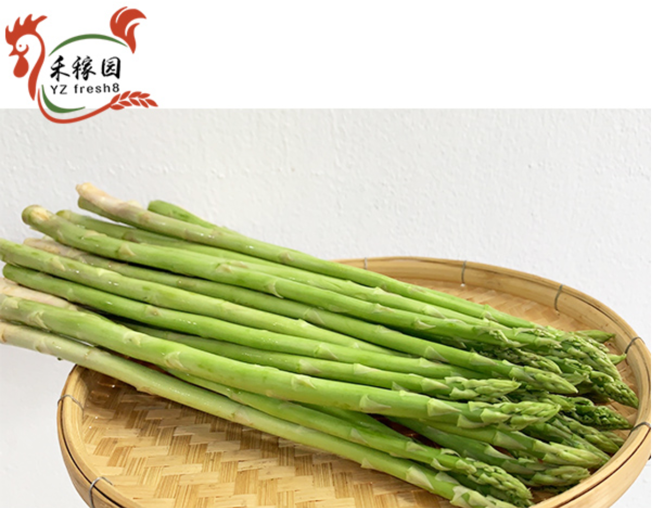 Asparagus (芦笋)