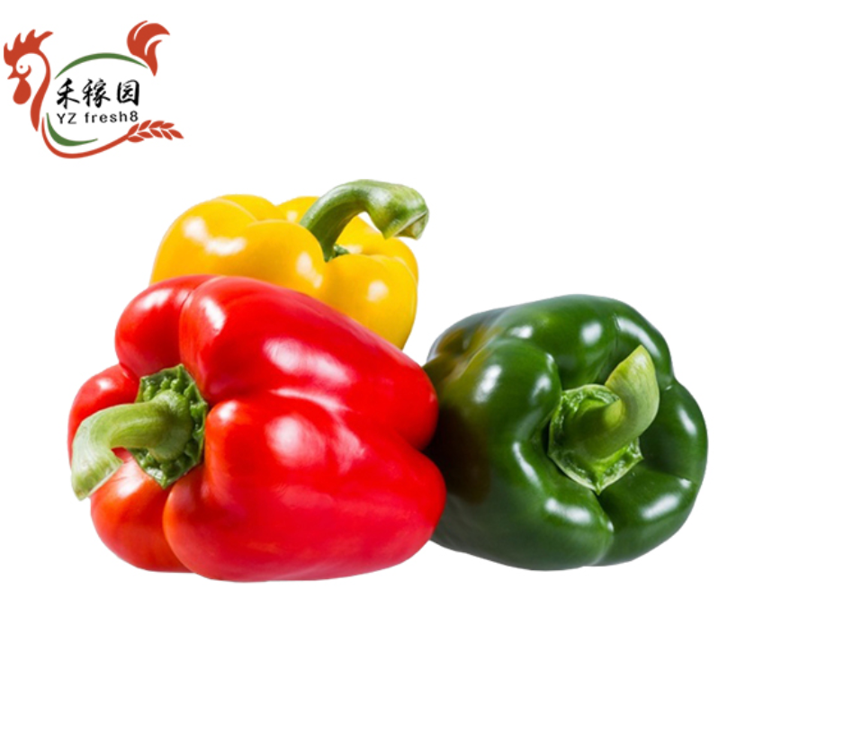 Bell Peppers (甜椒)