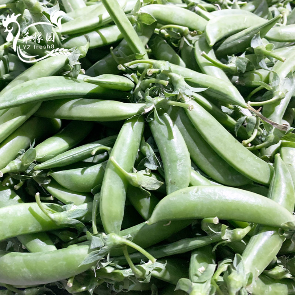 Young Peas (嫩豌豆)