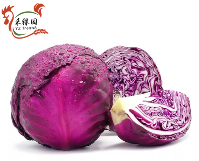 Red Cabbage (紫甘蓝)