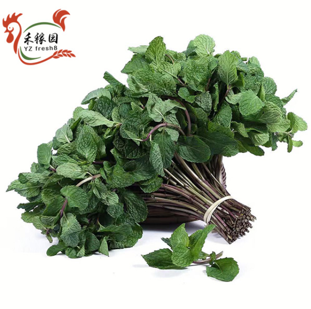 Mint Leaves (薄荷叶)