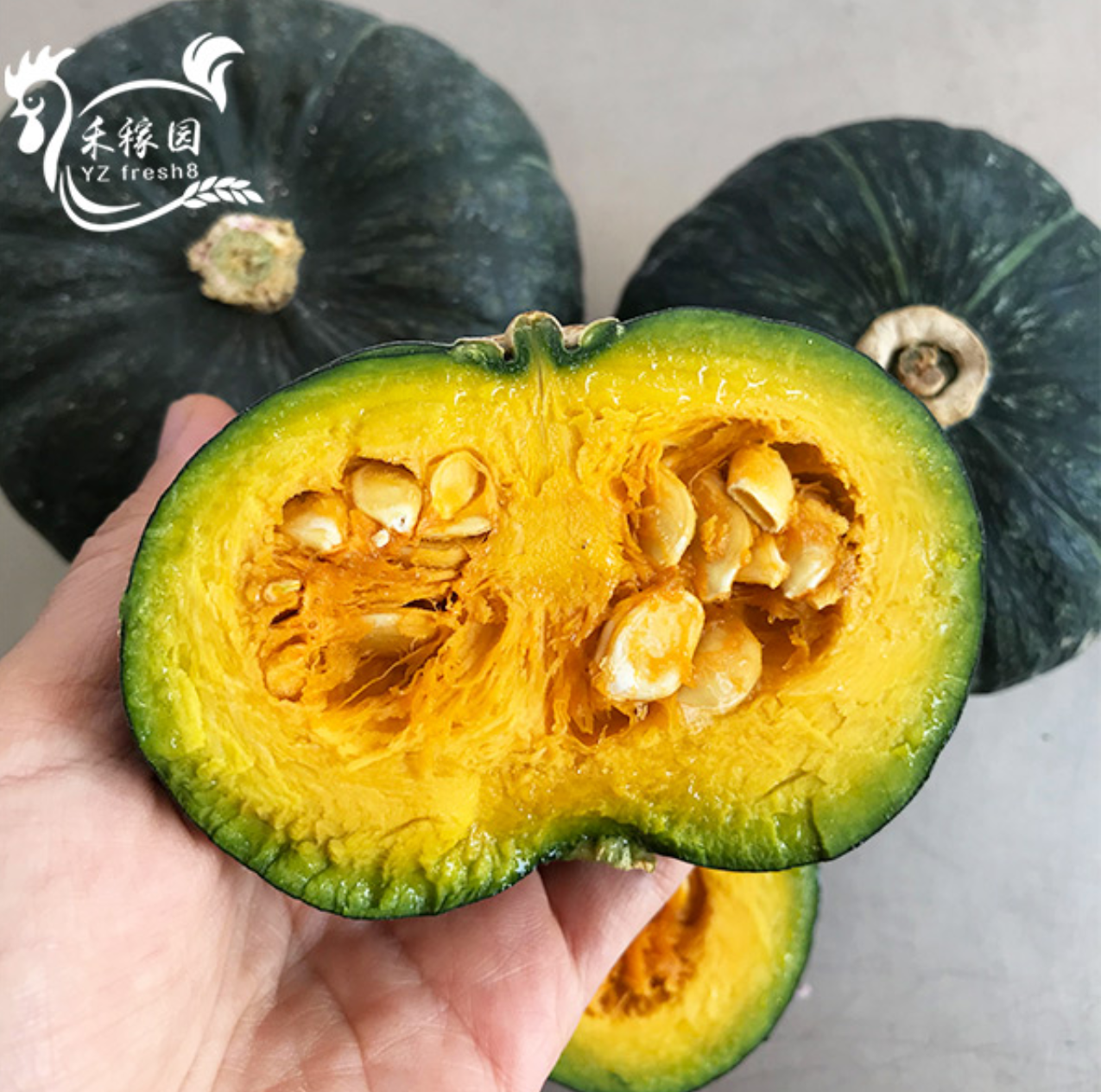 Mini pumpkin(贝贝南瓜)