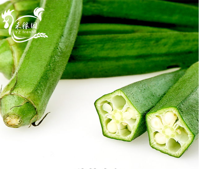 Okra (秋葵)