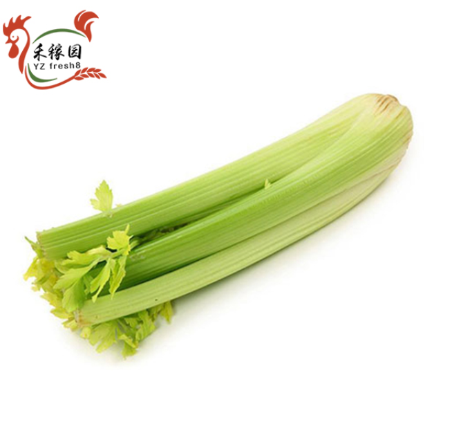 Celery (芹菜)
