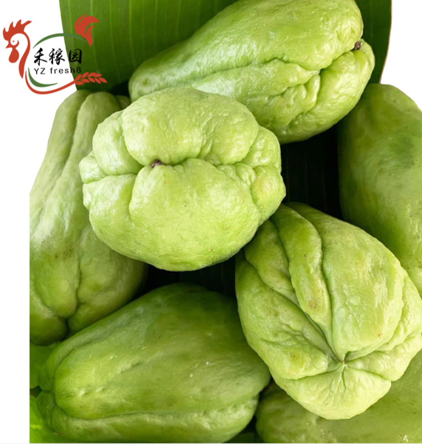 Chayote (佛手瓜)