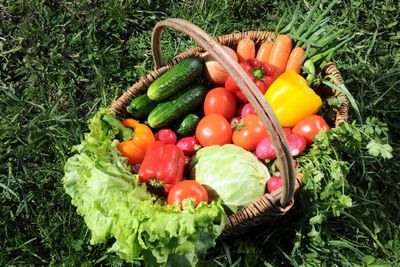 Healthy Vegetables