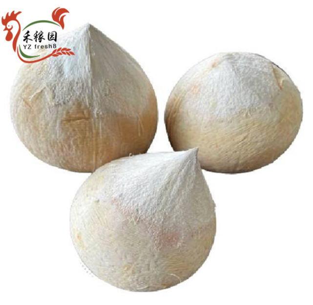 Coconut (去皮椰子）