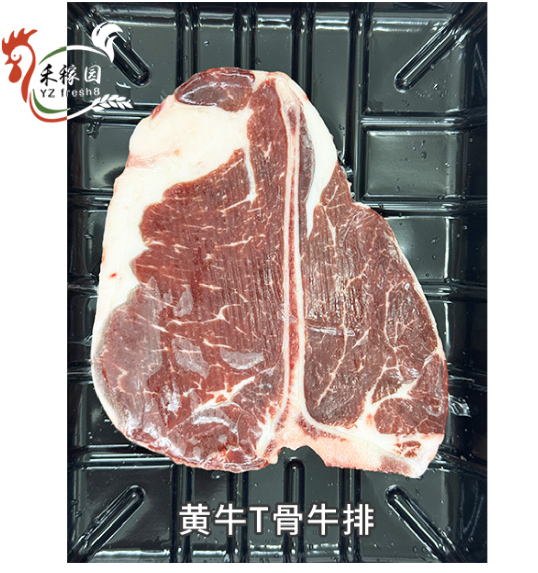Cattle T-Bone Steak （黄牛T骨牛排）
