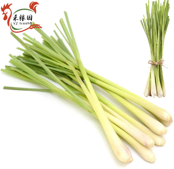 Lemongrass (香茅）