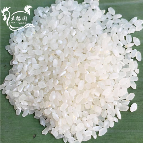 DiGu Pearl Rice (地谷珍珠米）