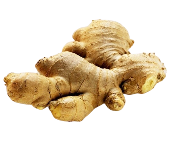 Ginger (姜）