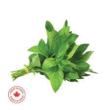 Mint fresh Org, 1 bunch