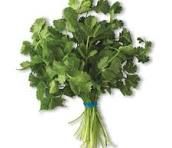 Cilantro Org, 3 bunches