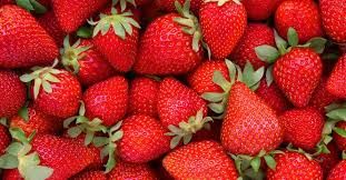 Strawberries Org, 1lb