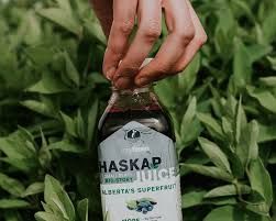 Haskap Berry Juice (Rosy), 437ml