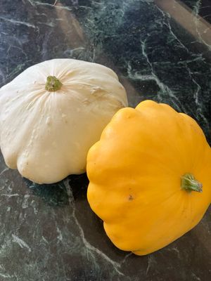 Scallopini Squash Locally Grown (WVA), Medium