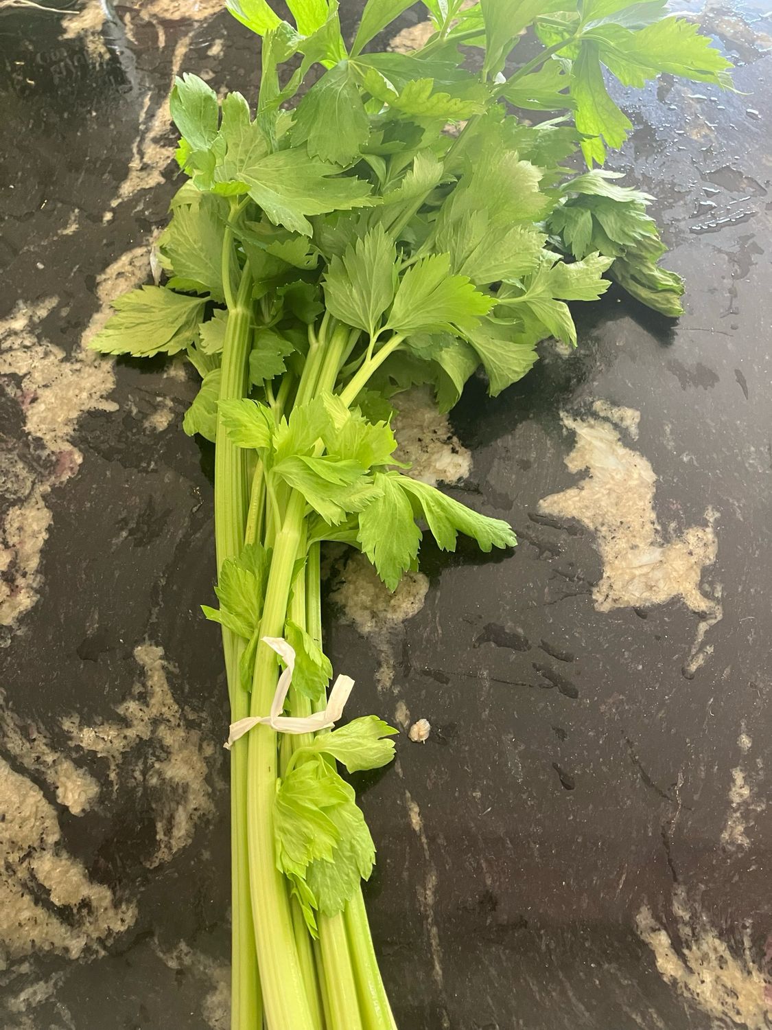 Celery Local (WVA), 1 bunch