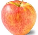 Apples Honey Crisp Org, 8 pieces
