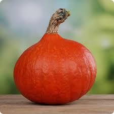 Squash, Red Kuri Organic