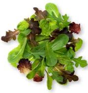 Lettuce Spring Mix Org, 10 oz