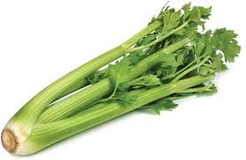 Celery Org, 1 bunch