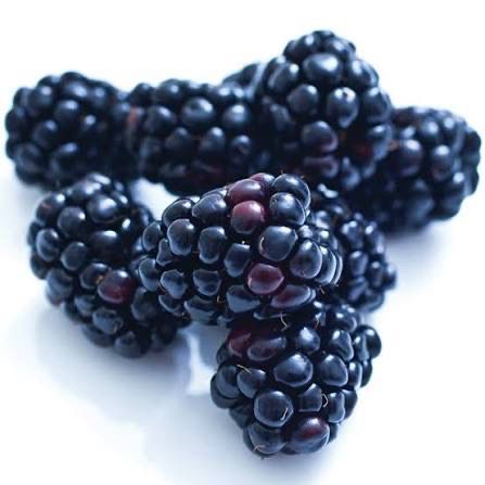 Blackberries Organic, 6 Oz