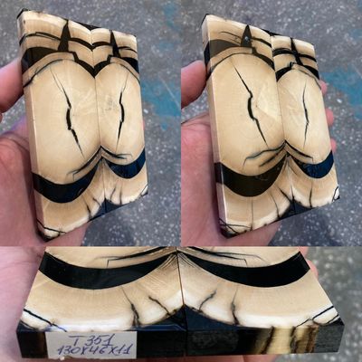Mammoth tusk stabilized pair scales for knifehandl and handmade