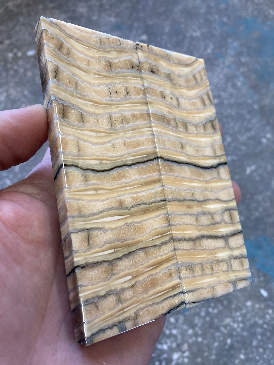 Mammoth tooth scales stabilized pair for knifehandl and handmade
#mammoth #tusk #mammothscales #mammothblock #knifehandlematerial #knifemakingcommunity #knifehandles #knifemakingsupplies #knifescales 