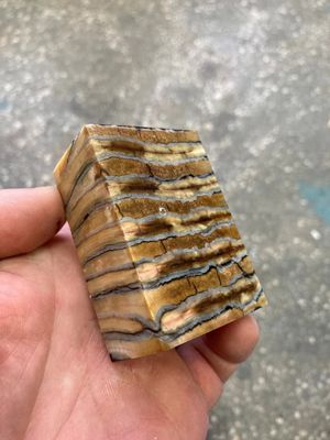 Mammoth tooth block stabilized for knifehandl and handmade
#mammoth #mammothscales #mammothblock #knifehandlematerial #knifemakingcommunity #knifehandles #knifemakingsupplies #knifescales 
