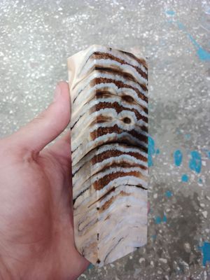 Mammoth tooth block stabilized for knifehandl and handmade
#mammoth #mammothtooth #knifehandl​
