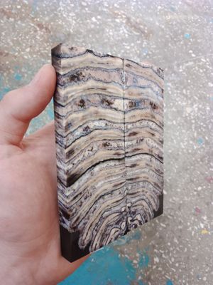 Mammoth tooth scales stabilized pair for knifehandl and handmade
#mammoth #tusk #mammothscales #mammothblock #knifehandlematerial #knifemakingcommunity #knifehandles #knifemakingsupplies #knifescales 