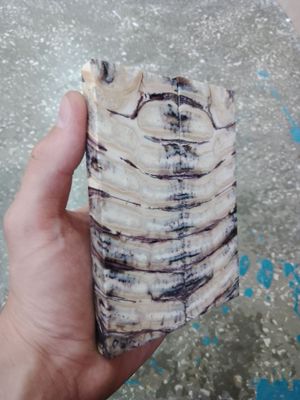 Mammoth tooth scales stabilized pair for knifehandl and handmade
#mammoth #tusk #mammothscales #mammothblock #knifehandlematerial #knifemakingcommunity #knifehandles #knifemakingsupplies #knifescales 