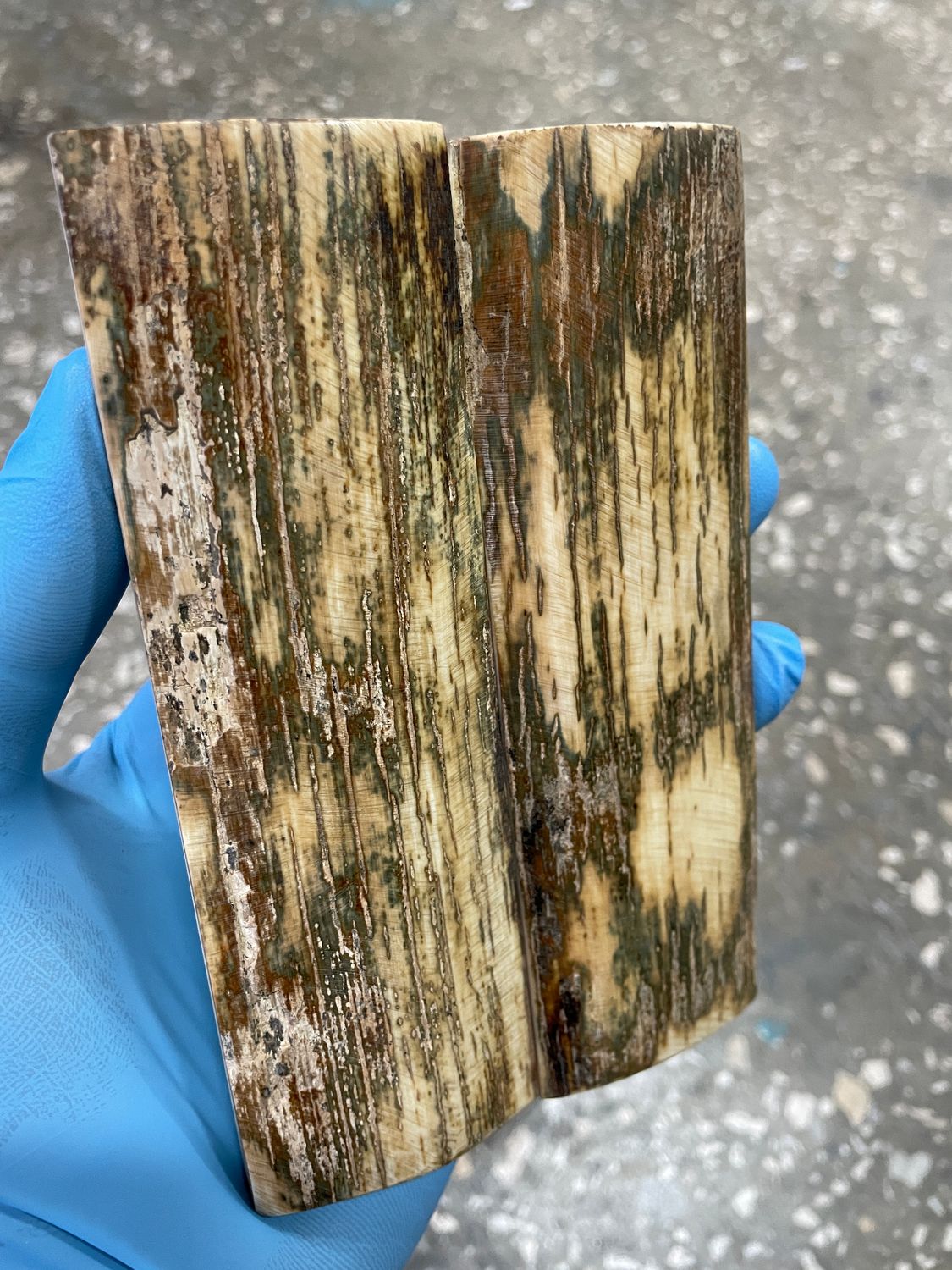 Mammoth tusk bark pair scales for knifehandl and handmade
#bark #mammothbark #mammothivory #mammothtusk #ivory #tusk #bark #mammoth