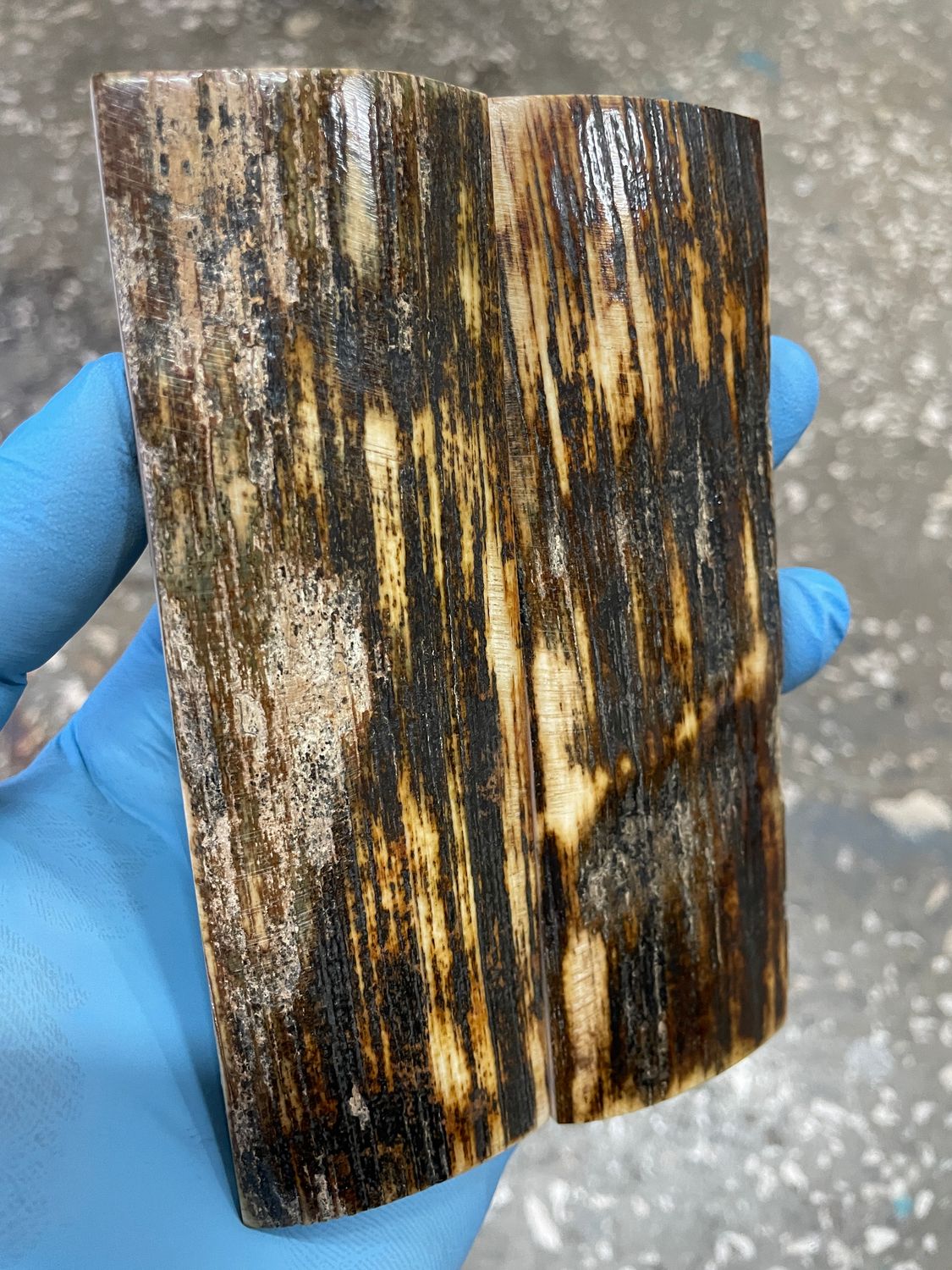 Mammoth tusk bark pair scales for knifehandl and handmade
#bark #mammothbark #mammothivory #mammothtusk #ivory #tusk #bark #mammoth