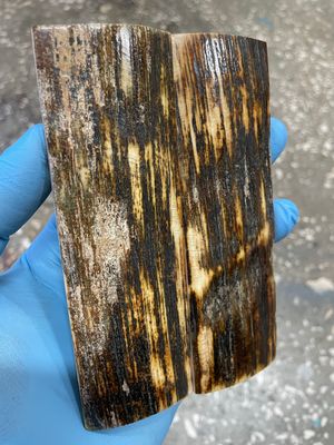 Mammoth tusk bark pair scales for knifehandl and handmade
#bark #mammothbark #mammothivory #mammothtusk #ivory #tusk #bark #mammoth