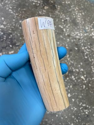 walrus tusk ivory material for scrimshaw knifehandl carving
#walrus #walrustusk #ivory #carving #scrimshaw #tusk #knifehandl 