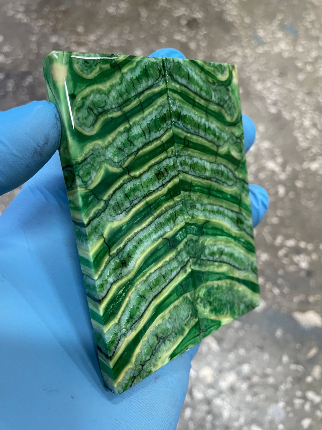 Mammoth tooth scales stabilized pair for knifehandl and handmade
#mammoth #tusk #mammothscales #mammothblock #knifehandlematerial #knifemakingcommunity #knifehandles #knifemakingsupplies #knifescales 