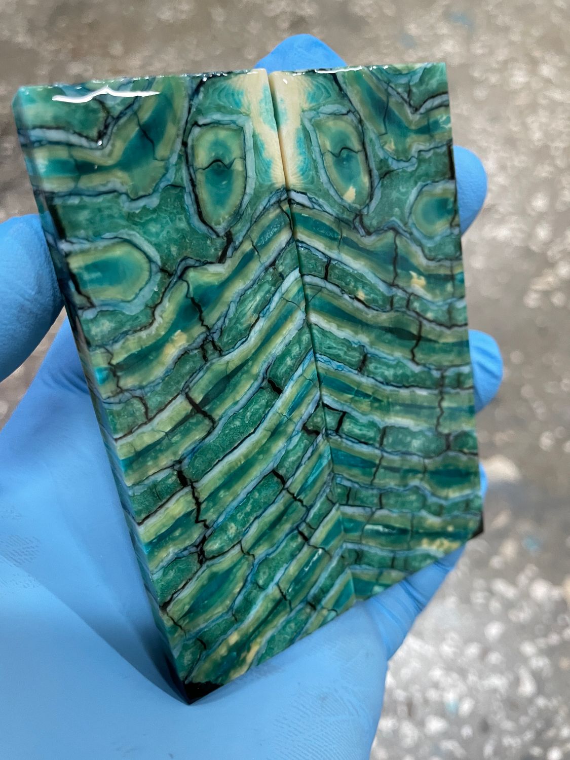Mammoth tooth scales stabilized pair for knifehandl and handmade
#mammoth #tusk #mammothscales #mammothblock #knifehandlematerial #knifemakingcommunity #knifehandles #knifemakingsupplies #knifescales 