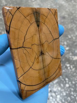 Mammoth tusk stabilized pair scales for knifehandl and handmade
#mammoth #tusk #mammothtusk #ivory #knifehandl
