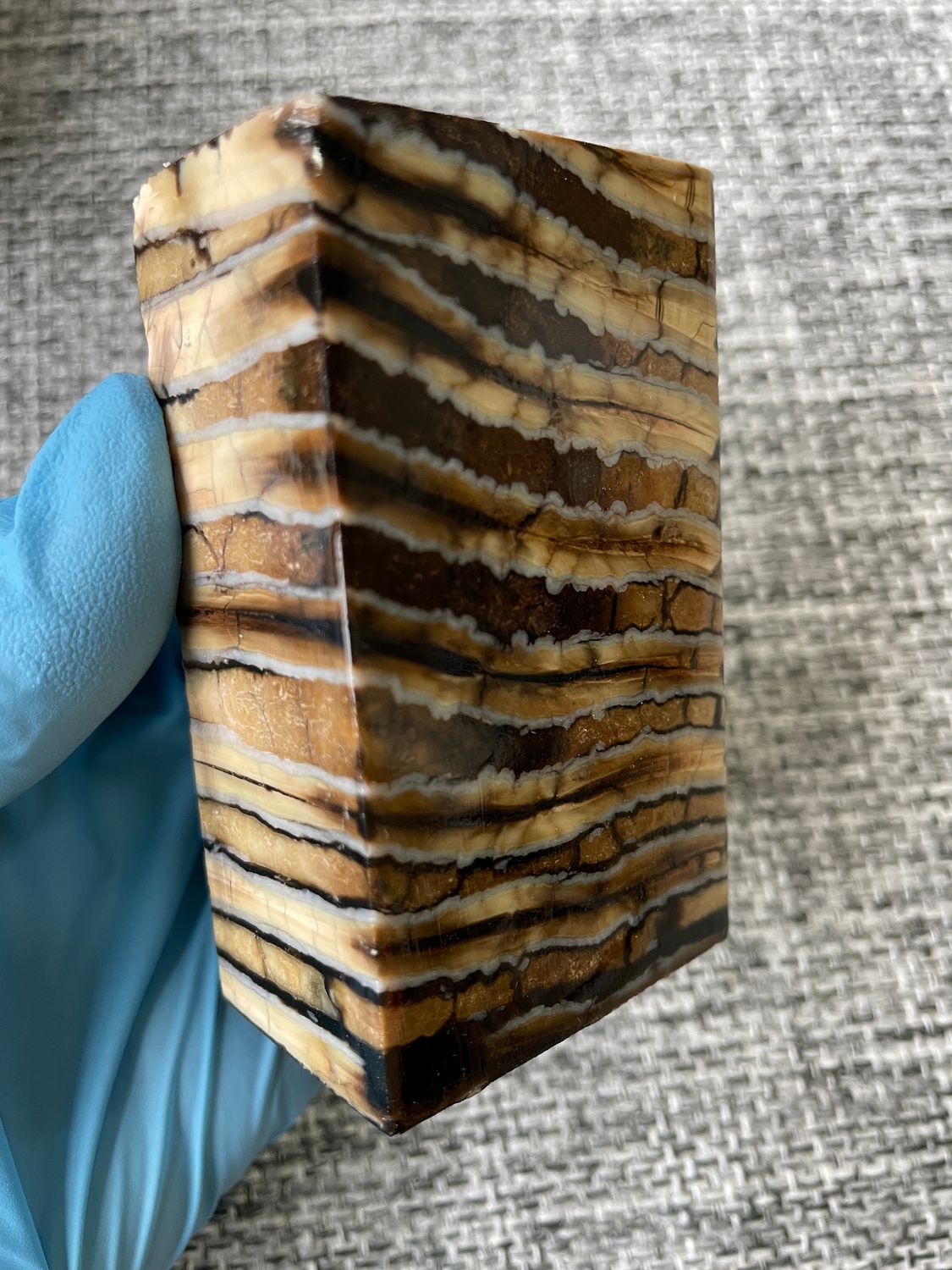 Mammoth tooth block stabilized for knifehandl and handmade
#mammoth #mammothscales #mammothblock #knifehandlematerial #knifemakingcommunity #knifehandles #knifemakingsupplies #knifescales 