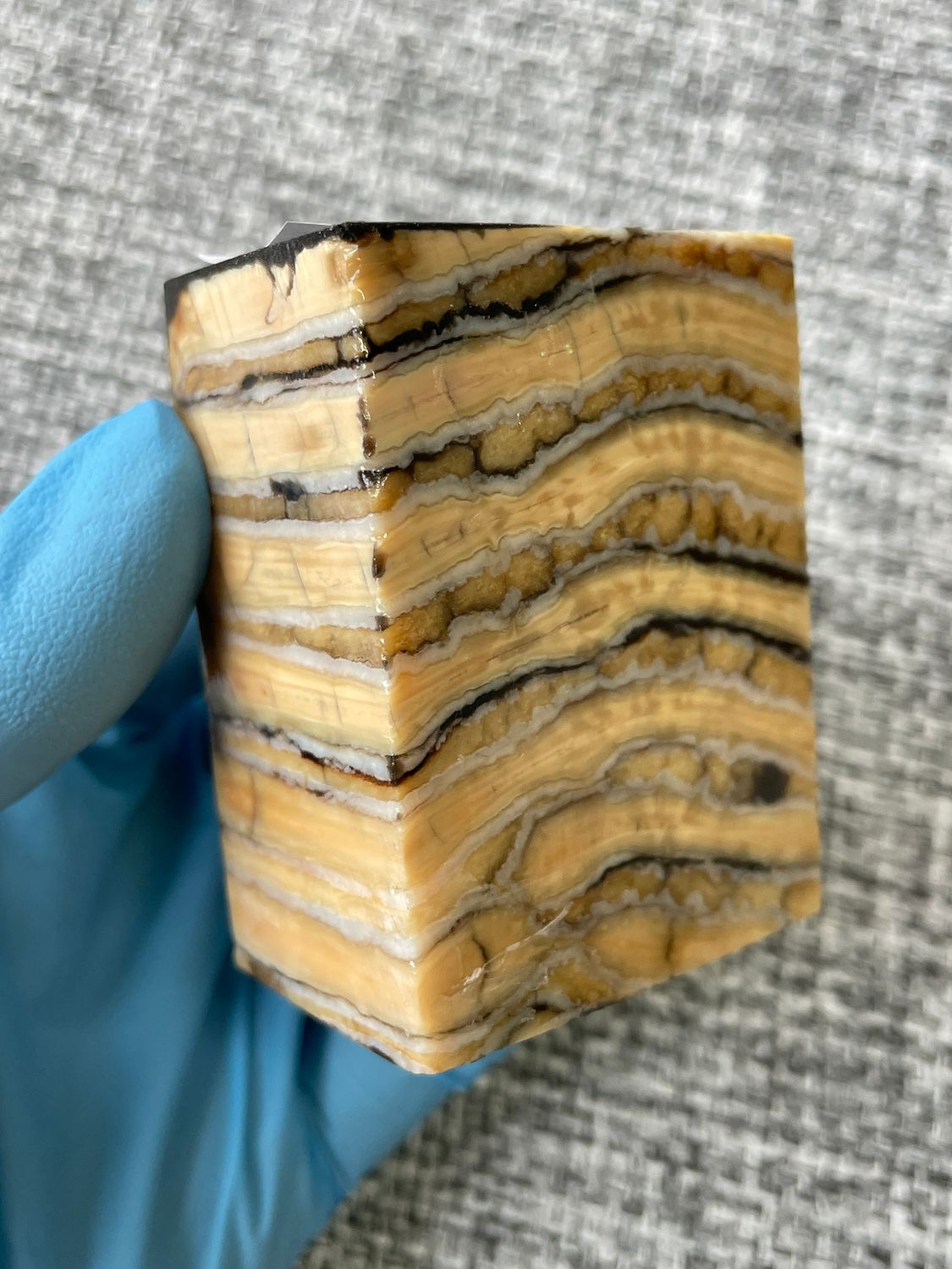 Mammoth tooth block stabilized for knifehandl and handmade
#mammoth #mammothscales #mammothblock #knifehandlematerial #knifemakingcommunity #knifehandles #knifemakingsupplies #knifescales 
