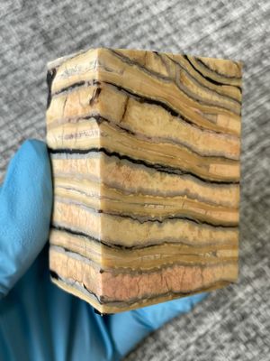 Mammoth tooth block stabilized for knifehandl and handmade
#mammoth #mammothscales #mammothblock #knifehandlematerial #knifemakingcommunity #knifehandles #knifemakingsupplies #knifescales 
