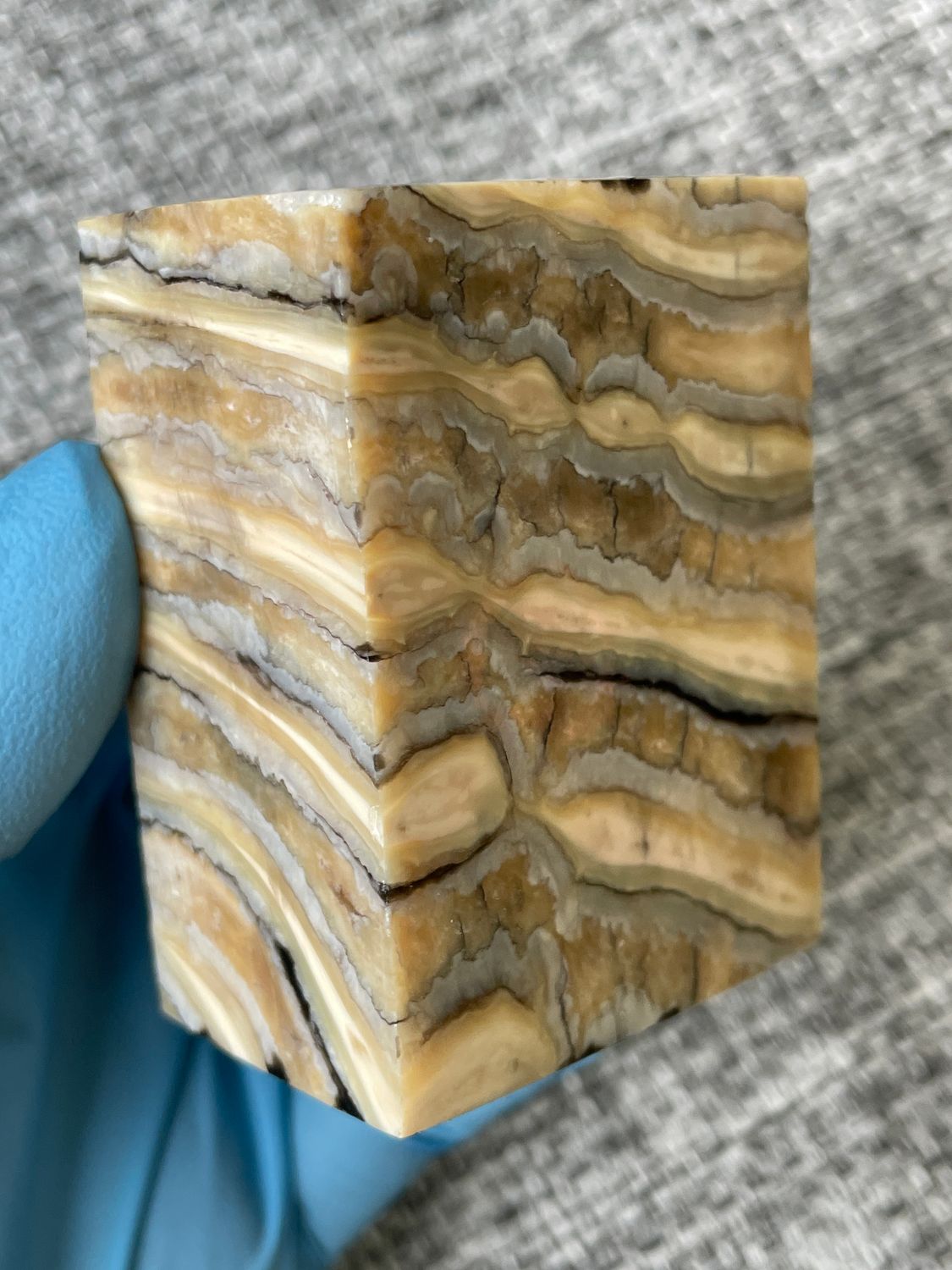 Mammoth tooth block stabilized for knifehandl and handmade
#mammoth #mammothscales #mammothblock #knifehandlematerial #knifemakingcommunity #knifehandles #knifemakingsupplies #knifescales 