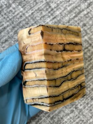 Mammoth tooth block stabilized for knifehandl and handmade
#mammoth #mammothscales #mammothblock #knifehandlematerial #knifemakingcommunity #knifehandles #knifemakingsupplies #knifescales 