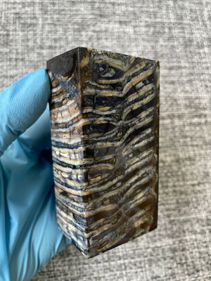 Mammoth tooth block stabilized for knifehandl and handmade
#mammoth #mammothscales #mammothblock #knifehandlematerial #knifemakingcommunity #knifehandles #knifemakingsupplies #knifescales 