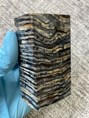 Mammoth tooth block stabilized for knifehandl and handmade
#mammoth #mammothscales #mammothblock #knifehandlematerial #knifemakingcommunity #knifehandles #knifemakingsupplies #knifescales 