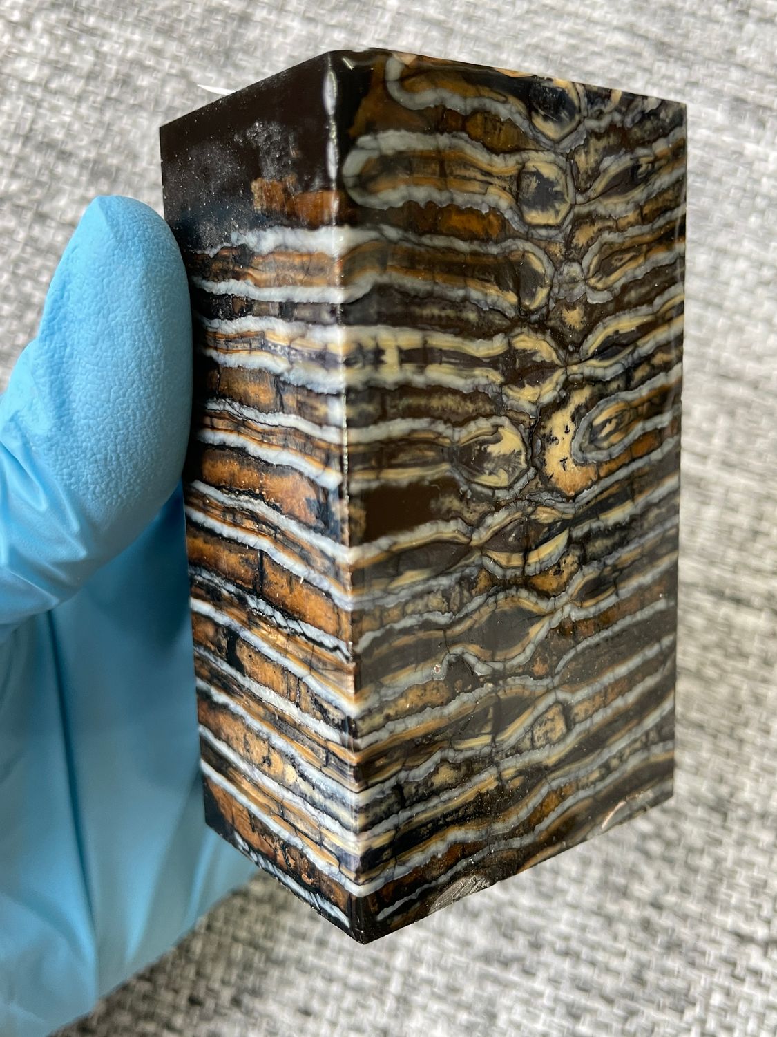Mammoth tooth block stabilized for knifehandl and handmade
#mammoth #mammothscales #mammothblock #knifehandlematerial #knifemakingcommunity #knifehandles #knifemakingsupplies #knifescales 
