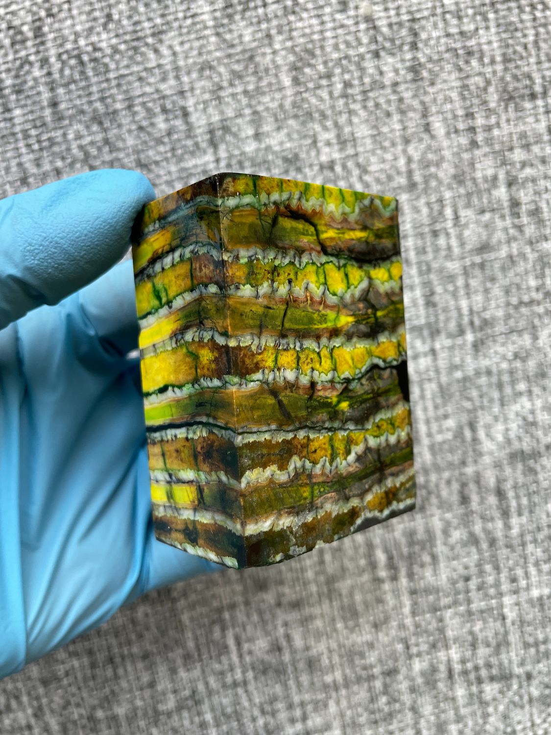 Mammoth tooth block stabilized for knifehandl and handmade
#mammoth #mammothscales #mammothblock #knifehandlematerial #knifemakingcommunity #knifehandles #knifemakingsupplies #knifescales 